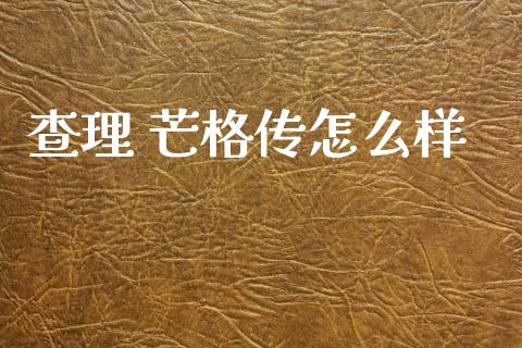 查理 芒格传怎么样_https://m.lcpcjs.com_期货交易时间_第1张