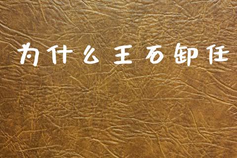 为什么王石卸任_https://m.lcpcjs.com_期货交易时间_第1张