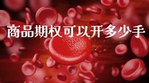 商品期权可以开多少手_https://m.lcpcjs.com_白银期货保证金_第1张