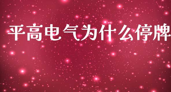平高电气为什么停牌_https://m.lcpcjs.com_期货交易时间_第1张