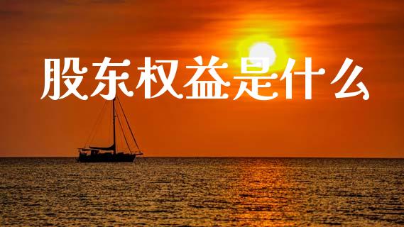 股东权益是什么_https://m.lcpcjs.com_期货交易_第1张