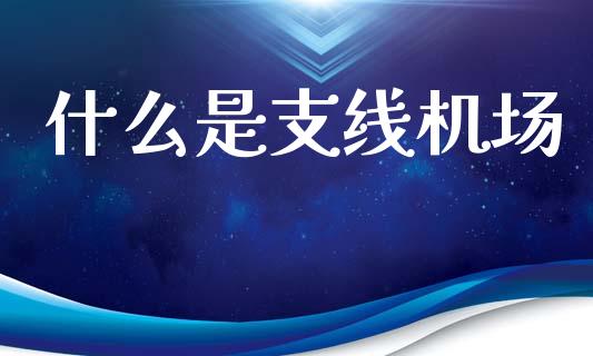 什么是支线机场_https://m.lcpcjs.com_期货交易时间_第1张