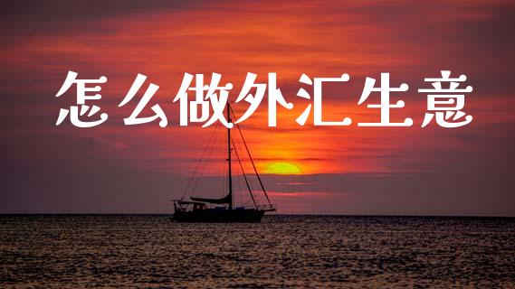 怎么做外汇生意_https://m.lcpcjs.com_恒指期货保证金_第1张