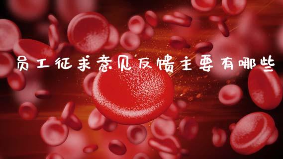 员工征求意见反馈主要有哪些_https://m.lcpcjs.com_恒指期货保证金_第1张