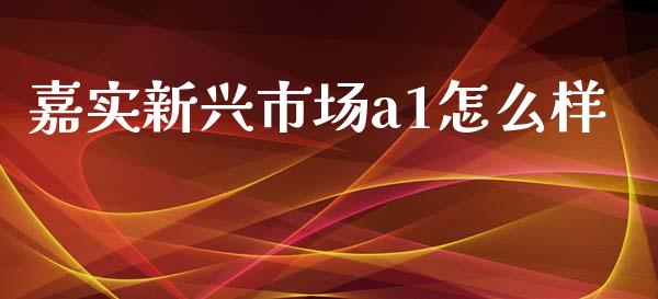 嘉实新兴市场a1怎么样_https://m.lcpcjs.com_白银期货保证金_第1张