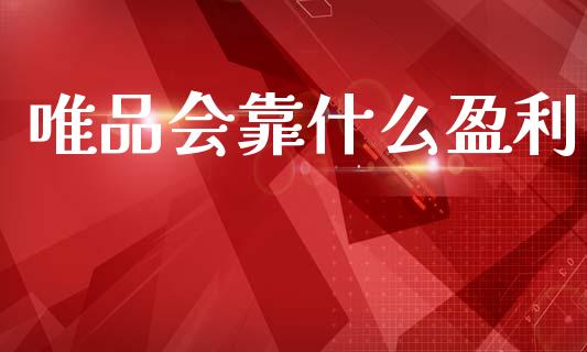 唯品会靠什么盈利_https://m.lcpcjs.com_期货交易_第1张