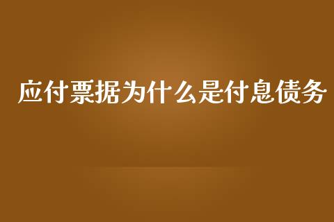 应付票据为什么是付息债务_https://m.lcpcjs.com_恒指期货保证金_第1张