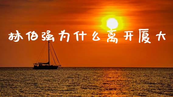 林伯强为什么离开厦大_https://m.lcpcjs.com_期货交易时间_第1张