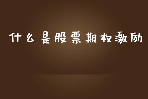 什么是股票期权激励_https://m.lcpcjs.com_期货交易时间_第1张