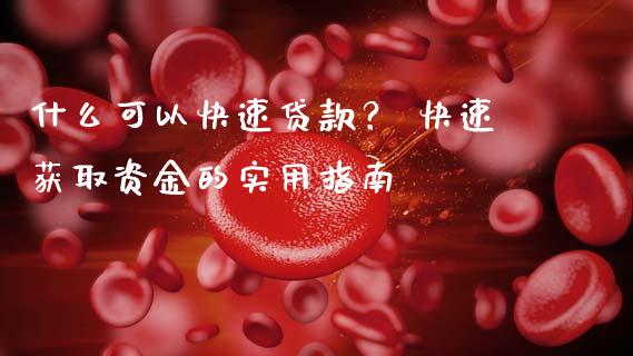 什么可以快速贷款？ 快速获取资金的实用指南_https://m.lcpcjs.com_期货交易时间_第1张