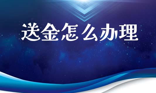 送金怎么办理_https://m.lcpcjs.com_白银期货保证金_第1张