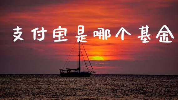 支付宝是哪个基金_https://m.lcpcjs.com_期货交易_第1张