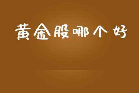 黄金股哪个好_https://m.lcpcjs.com_期货交易_第1张