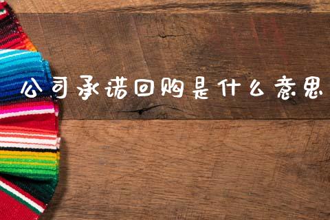 公司承诺回购是什么意思_https://m.lcpcjs.com_期货交易时间_第1张