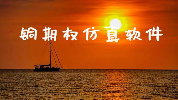 铜期权仿真软件_https://m.lcpcjs.com_期货交易时间_第1张