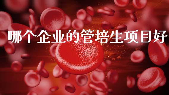 哪个企业的管培生项目好_https://m.lcpcjs.com_恒指期货保证金_第1张
