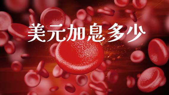 美元加息多少_https://m.lcpcjs.com_白银期货保证金_第1张