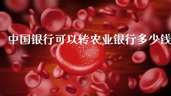中国银行可以转农业银行多少钱_https://m.lcpcjs.com_期货交易时间_第1张