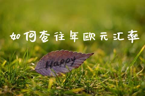 如何查往年欧元汇率_https://m.lcpcjs.com_期货交易_第1张