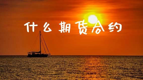 什么期货合约_https://m.lcpcjs.com_期货交易_第1张