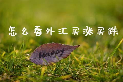 怎么看外汇买涨买跌_https://m.lcpcjs.com_期货交易时间_第1张