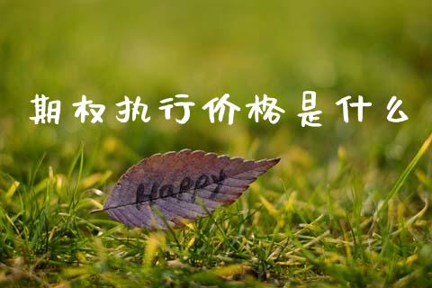 期权执行价格是什么_https://m.lcpcjs.com_白银期货保证金_第1张