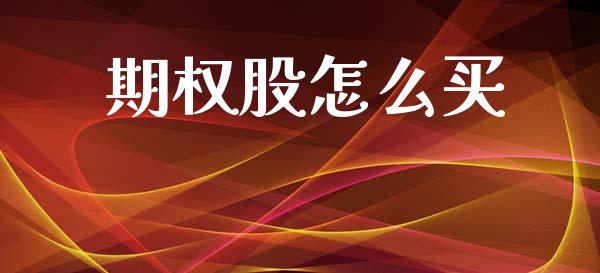期权股怎么买_https://m.lcpcjs.com_恒指期货保证金_第1张