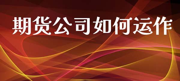 期货公司如何运作_https://m.lcpcjs.com_期货交易时间_第1张