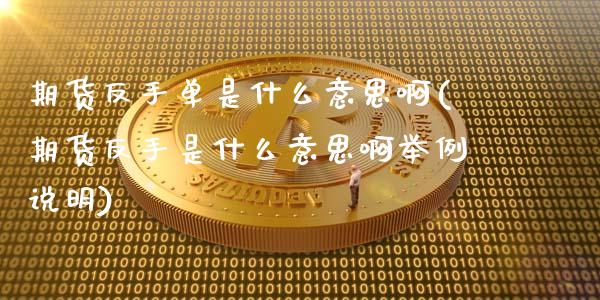 期货反手单是什么意思啊(期货反手是什么意思啊举例说明)_https://m.lcpcjs.com_恒指期货保证金_第1张