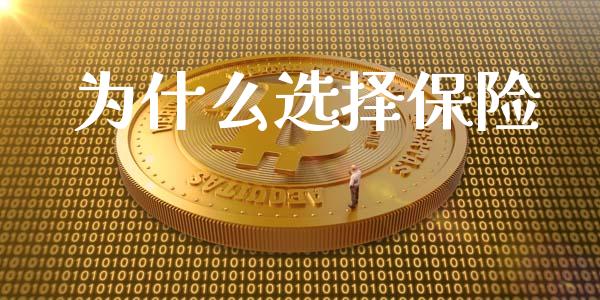 为什么选择保险_https://m.lcpcjs.com_恒指期货保证金_第1张