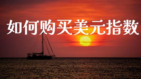 如何购买美元指数_https://m.lcpcjs.com_期货交易_第1张