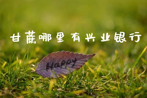 甘蔗哪里有兴业银行_https://m.lcpcjs.com_期货交易时间_第1张