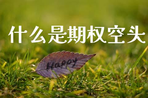 什么是期权空头_https://m.lcpcjs.com_期货交易时间_第1张