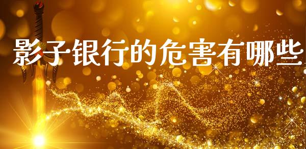 影子银行的危害有哪些_https://m.lcpcjs.com_期货交易_第1张