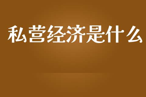 私营经济是什么_https://m.lcpcjs.com_期货交易时间_第1张