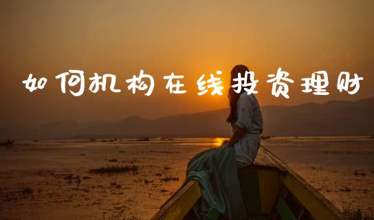 如何机构在线投资理财_https://m.lcpcjs.com_期货交易时间_第1张