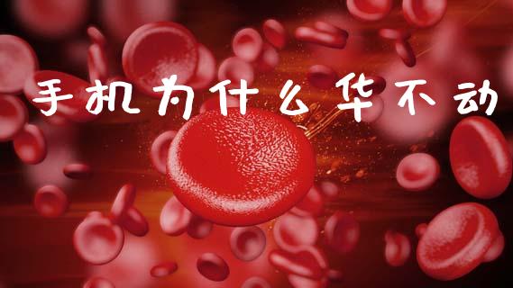 手机为什么华不动_https://m.lcpcjs.com_恒指期货保证金_第1张