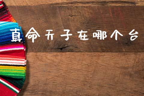 真命天子在哪个台_https://m.lcpcjs.com_白银期货保证金_第1张