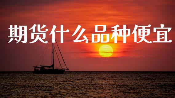 期货什么品种便宜_https://m.lcpcjs.com_期货交易_第1张