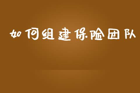 如何组建保险团队_https://m.lcpcjs.com_白银期货保证金_第1张