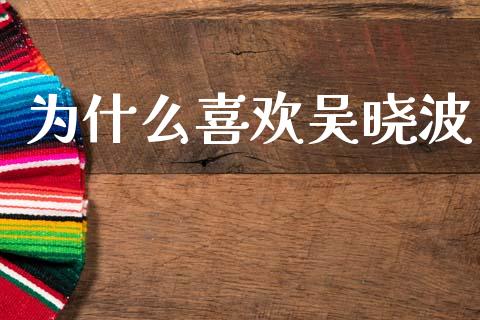 为什么喜欢吴晓波_https://m.lcpcjs.com_恒指期货保证金_第1张