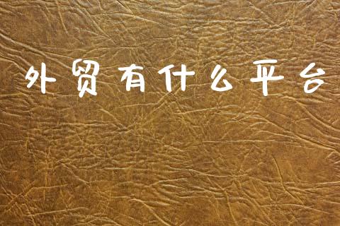 外贸有什么平台_https://m.lcpcjs.com_期货交易_第1张