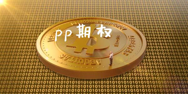 pp期权_https://m.lcpcjs.com_期货交易_第1张