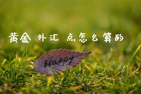 黄金 外汇 点怎么算的_https://m.lcpcjs.com_白银期货保证金_第1张
