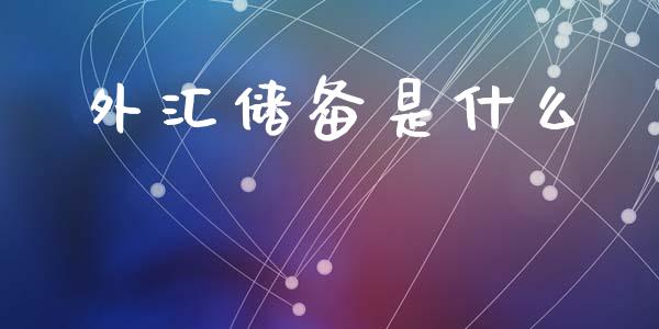 外汇储备是什么_https://m.lcpcjs.com_白银期货保证金_第1张