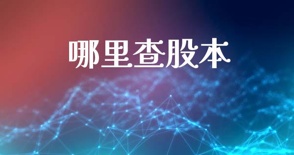 哪里查股本_https://m.lcpcjs.com_白银期货保证金_第1张