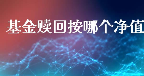 基金赎回按哪个净值_https://m.lcpcjs.com_恒指期货保证金_第1张