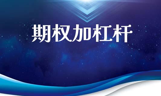 期权加杠杆_https://m.lcpcjs.com_期货交易_第1张