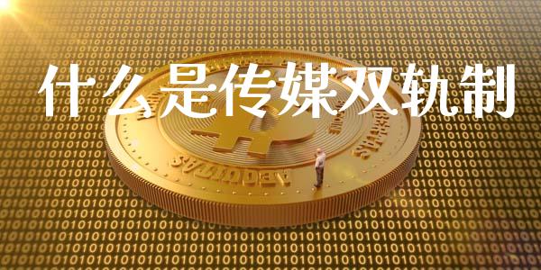 什么是传媒双轨制_https://m.lcpcjs.com_白银期货保证金_第1张