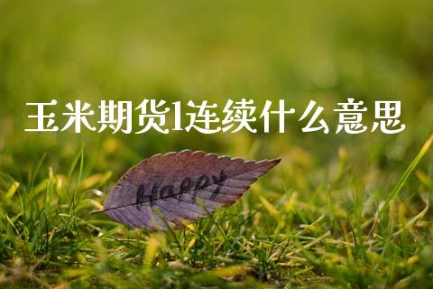 玉米期货l连续什么意思_https://m.lcpcjs.com_恒指期货保证金_第1张